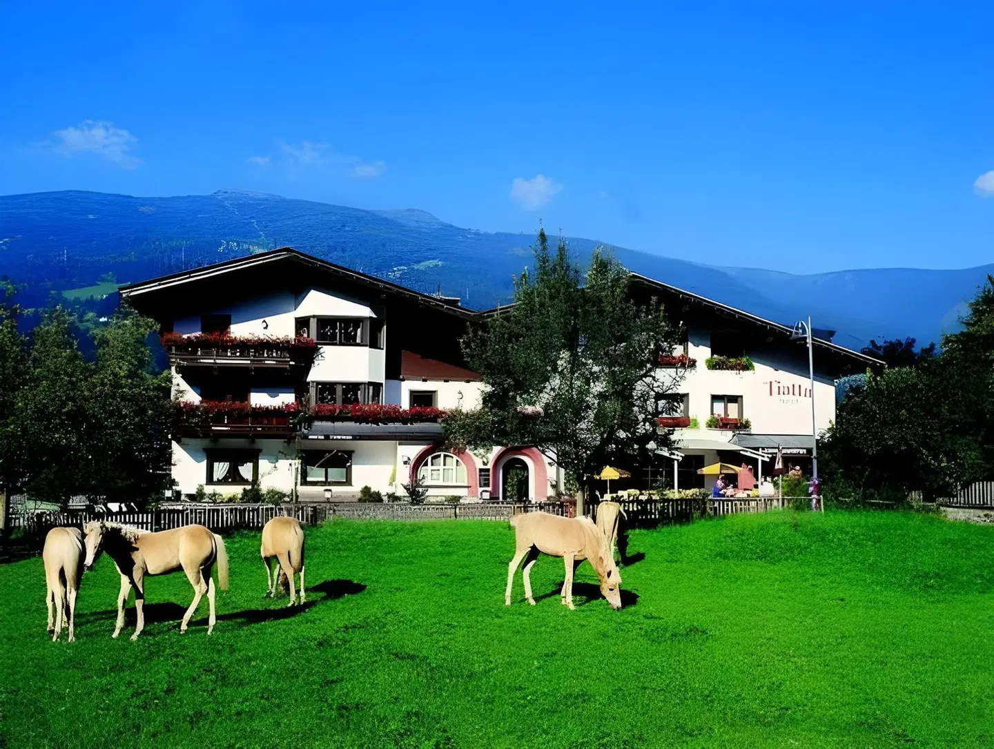 Hotel Tipotsch Tiere
