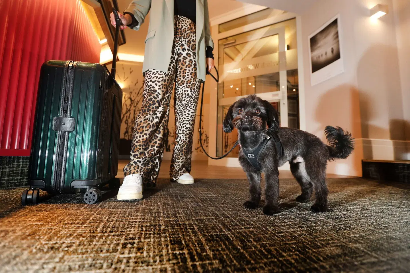 Best Western Hotel Windorf Tiere