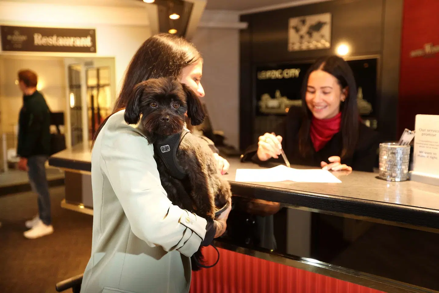 Best Western Hotel Windorf Bar