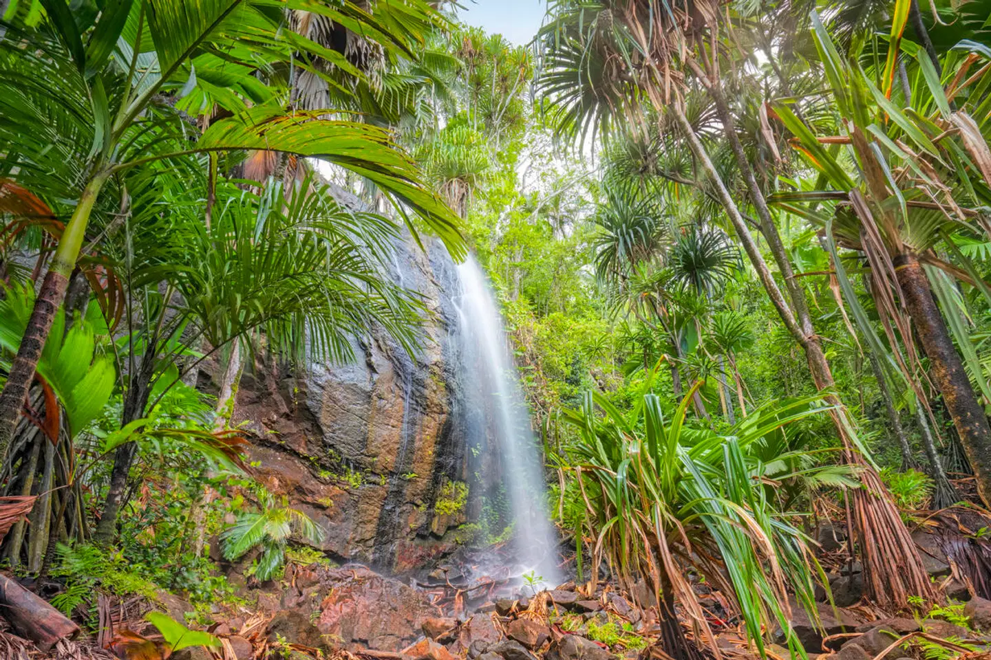 Island Hopping Seychellen (Hotels: Mittelklasse, Standardtransfers, 8 Nächte) Garten