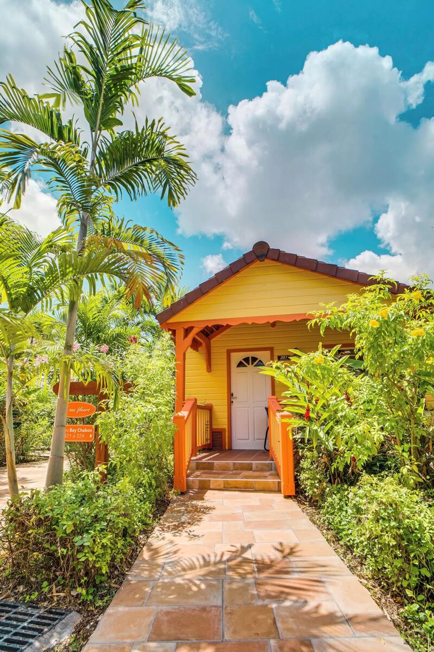 Bambou EXTERIOR