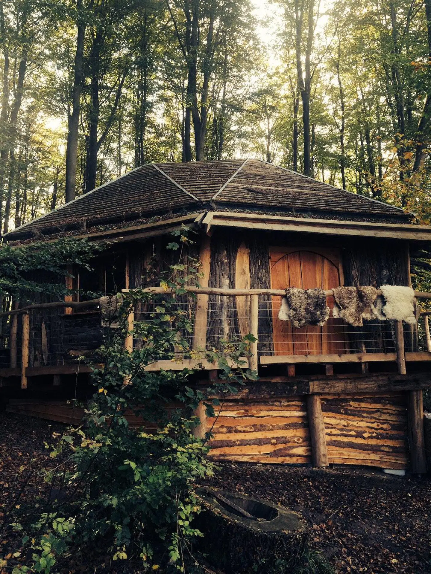 Robins Nest Baumhaushotel EXTERIOR