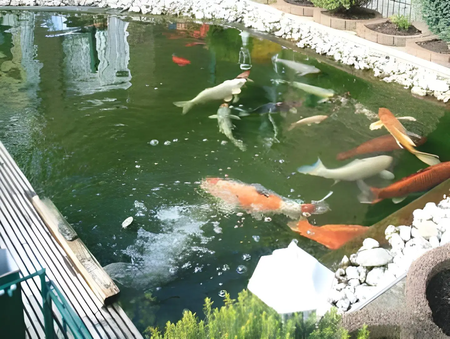 Zur Wasserburg Tiere