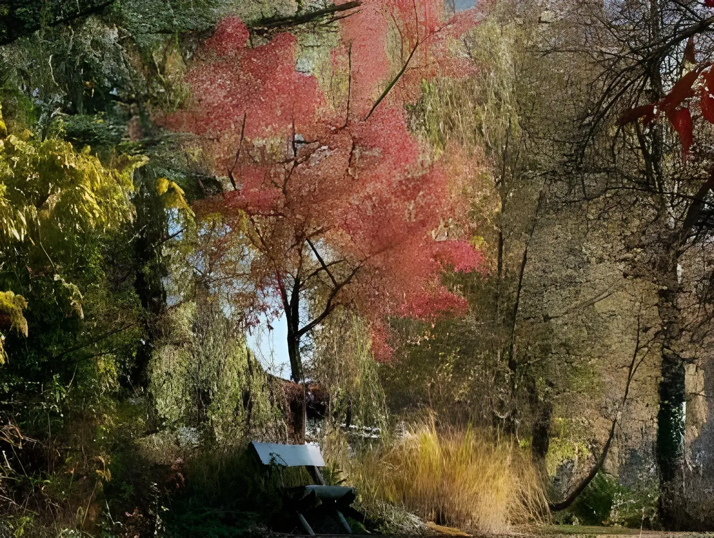 Schauinsland LANDSCAPE