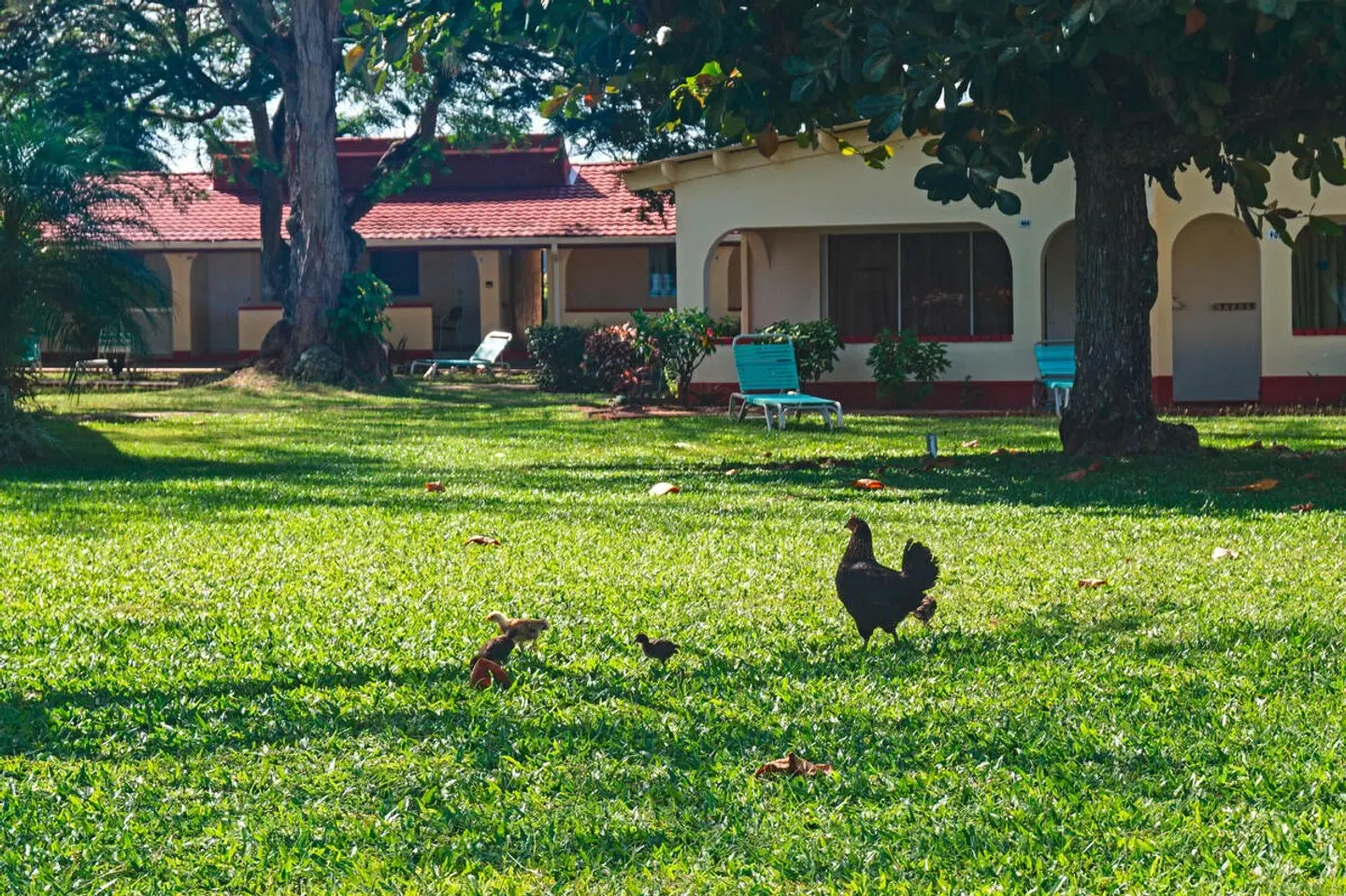 Crown Point Beach Hotel Garten