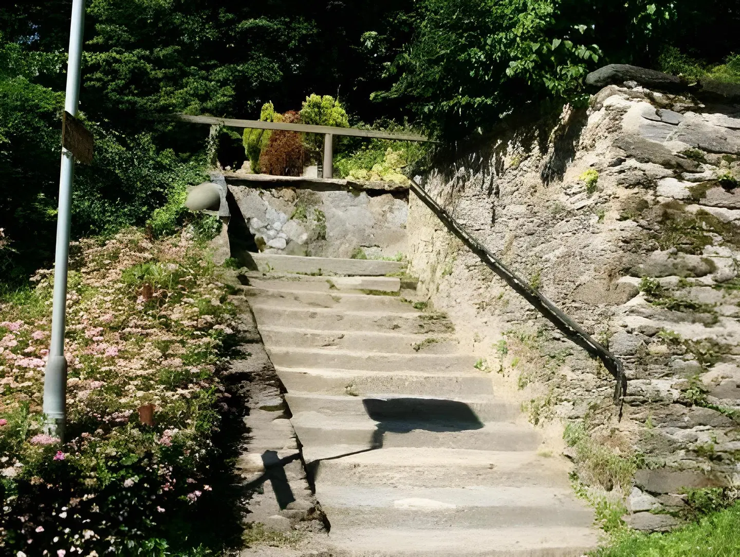 Hotel Restaurant Schweizerhaus LANDSCAPE