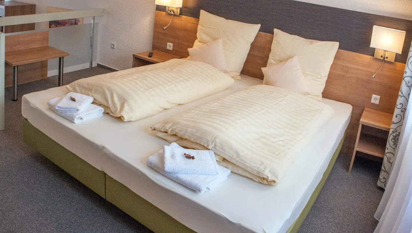 Pension EulenNest ROOM_EXAMPLE