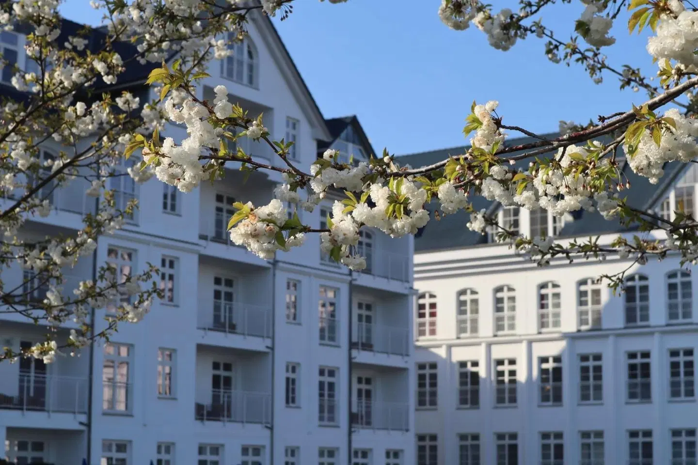 Precise Resort Schwielowsee - Hotel EXTERIOR