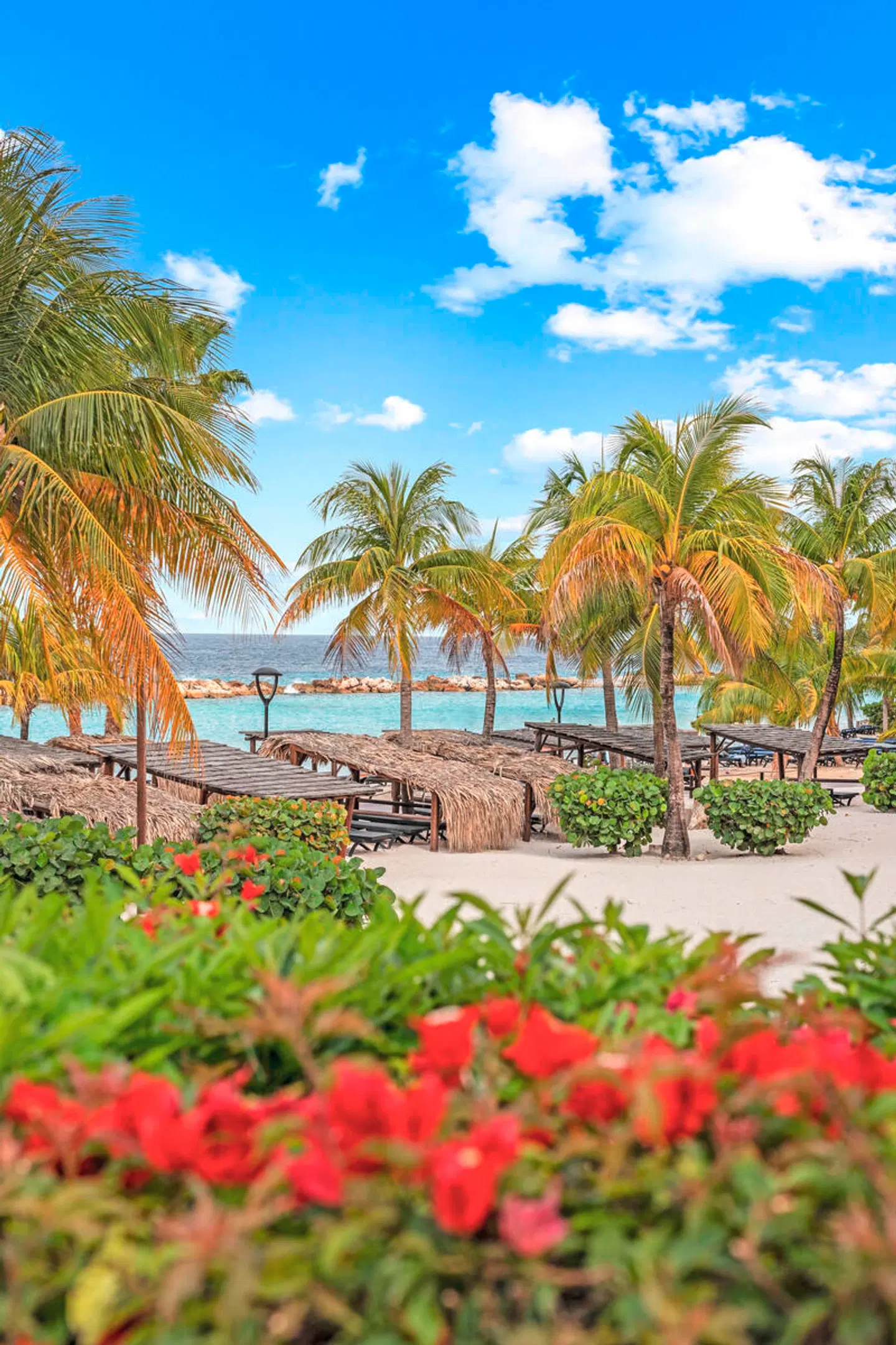 LionsDive Beach Resort Garten