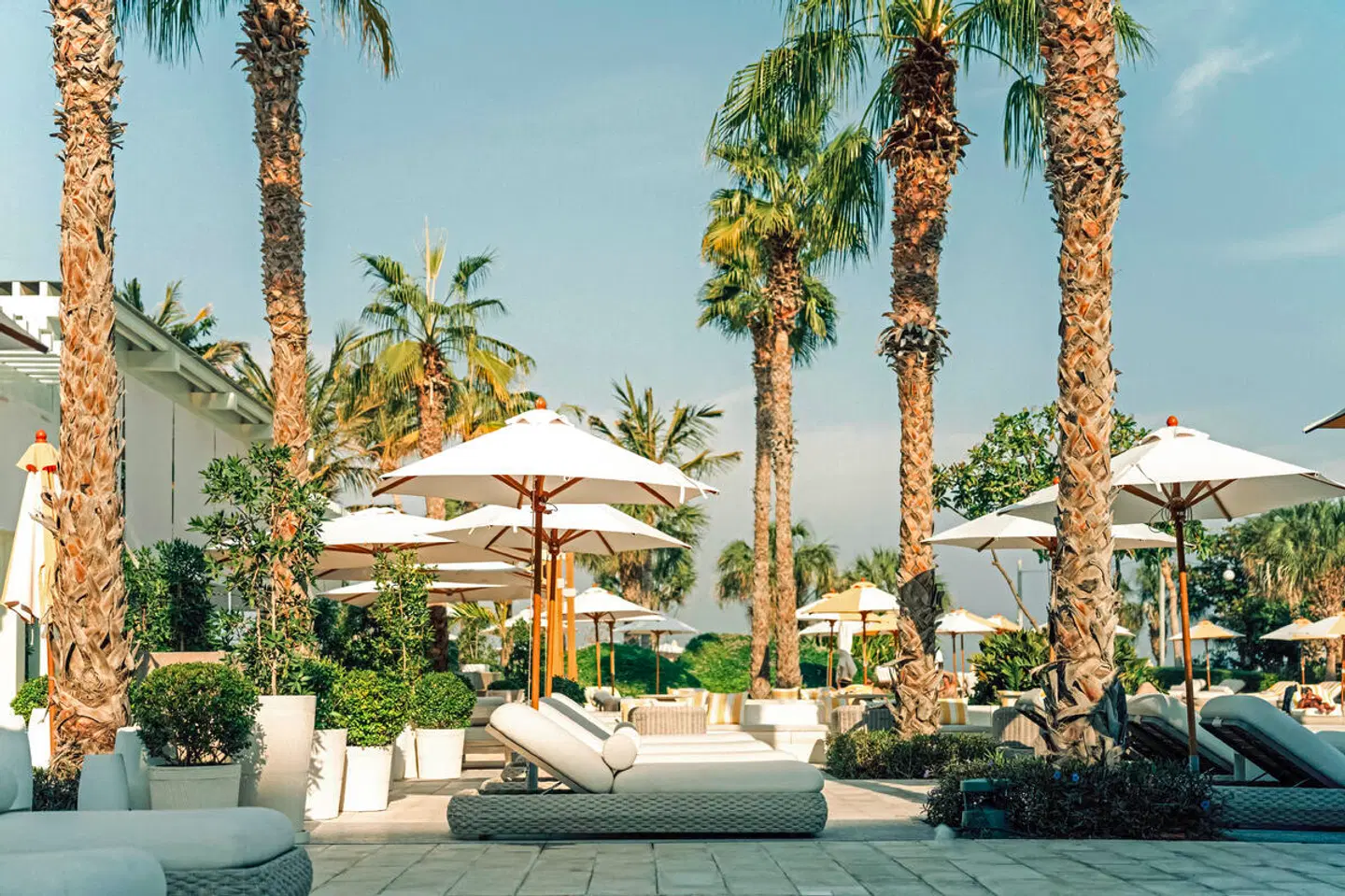 Delano Dubai Terrasse
