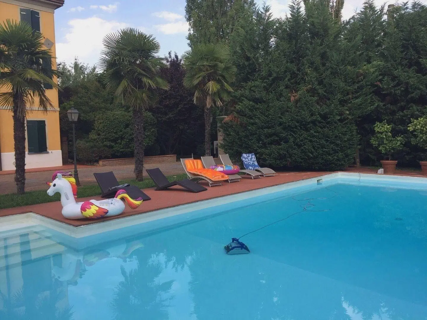 B&B Villa delle Palme OUTDOOR_POOL