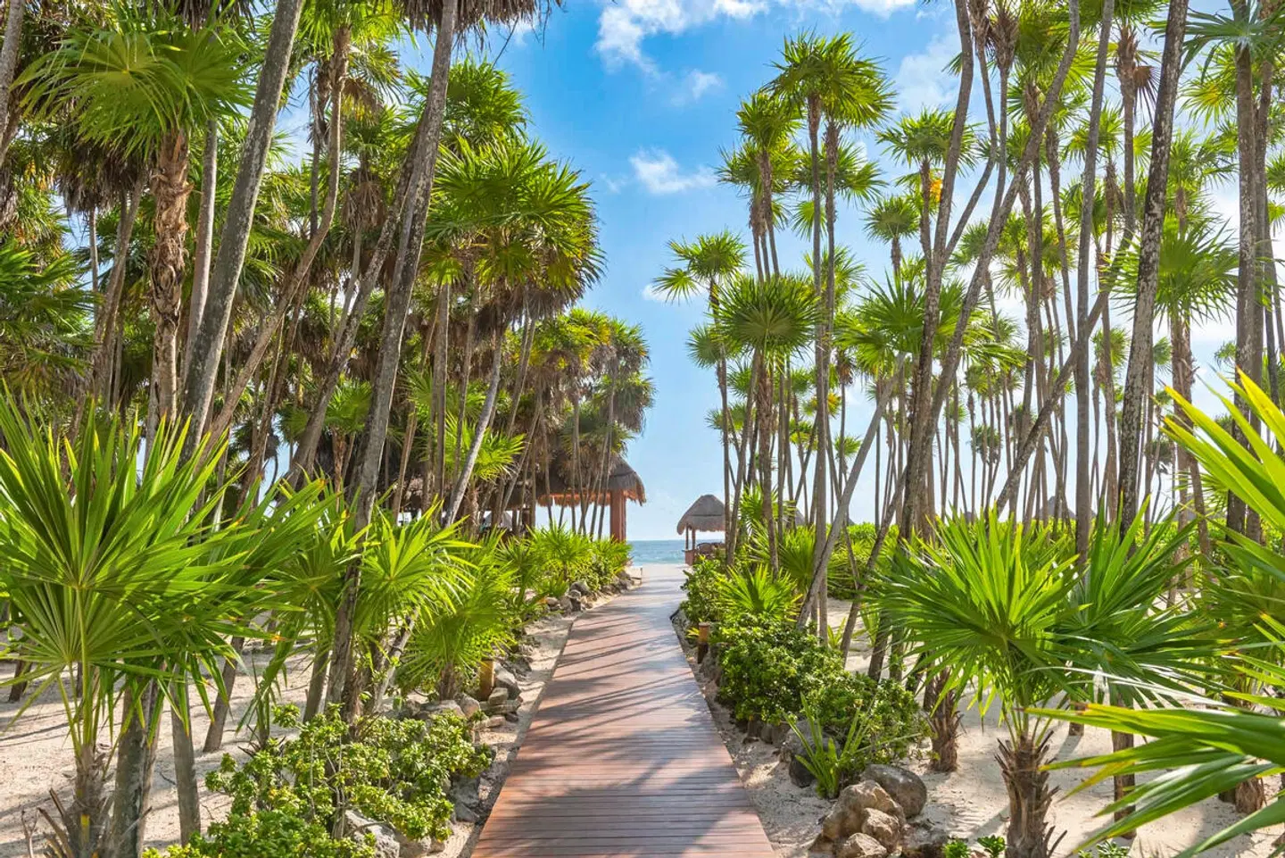 Valentin Imperial Riviera Maya Garten