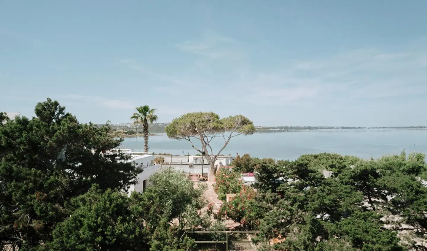 Rosamar Formentera GARDEN