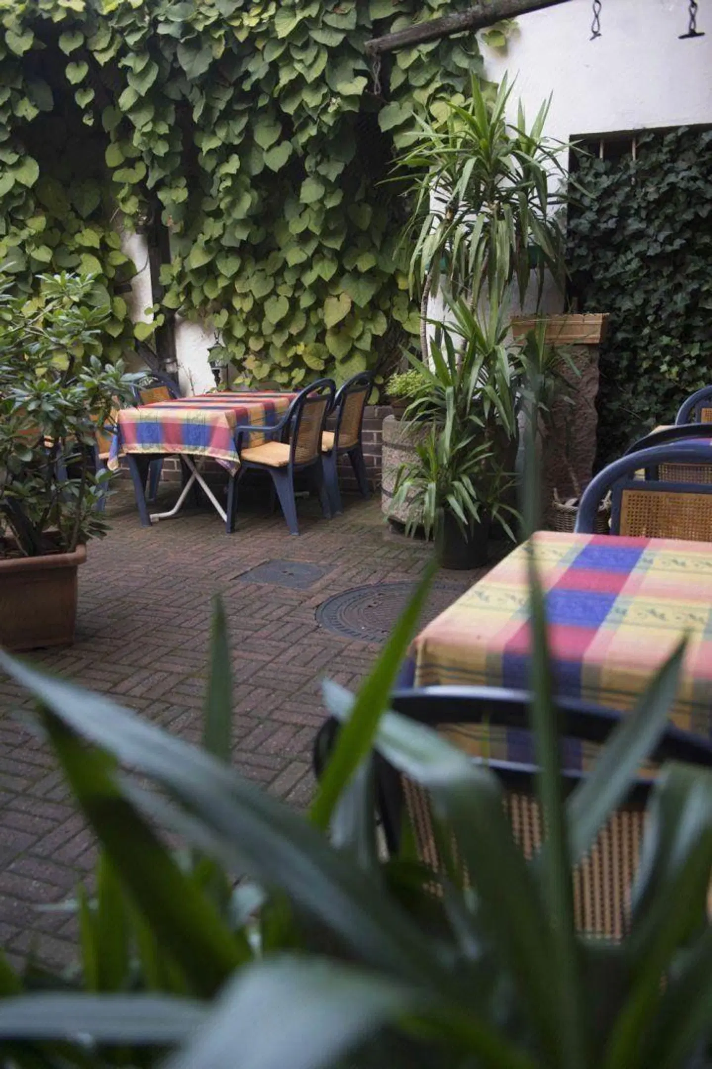 Am Ellinger Tor Terrasse