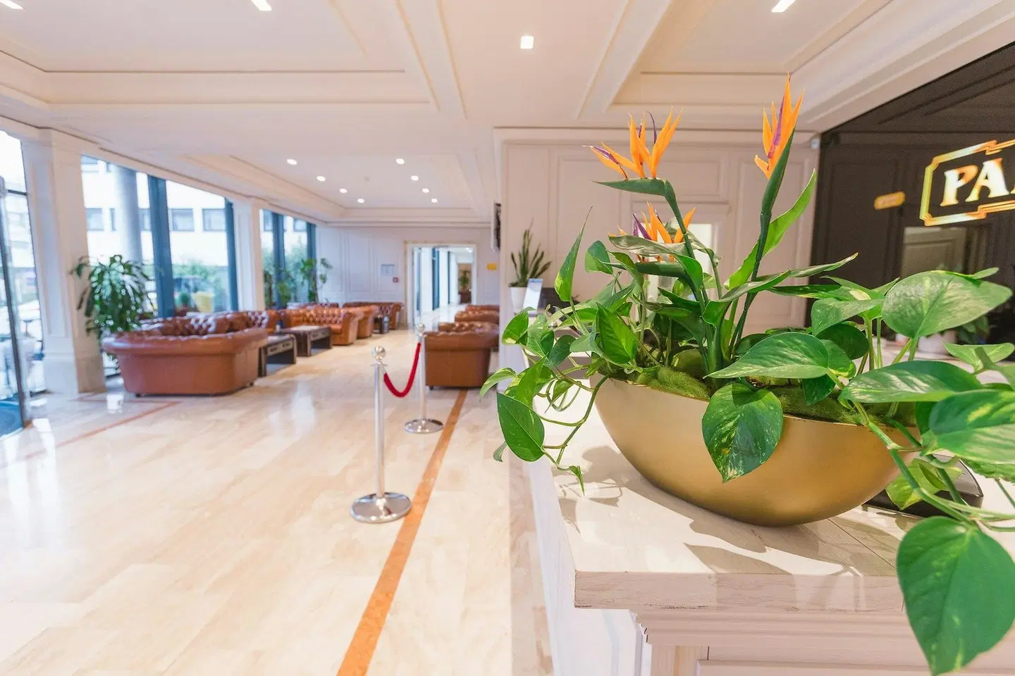 Grand Hotel Palladium LOUNGE_LOBBY