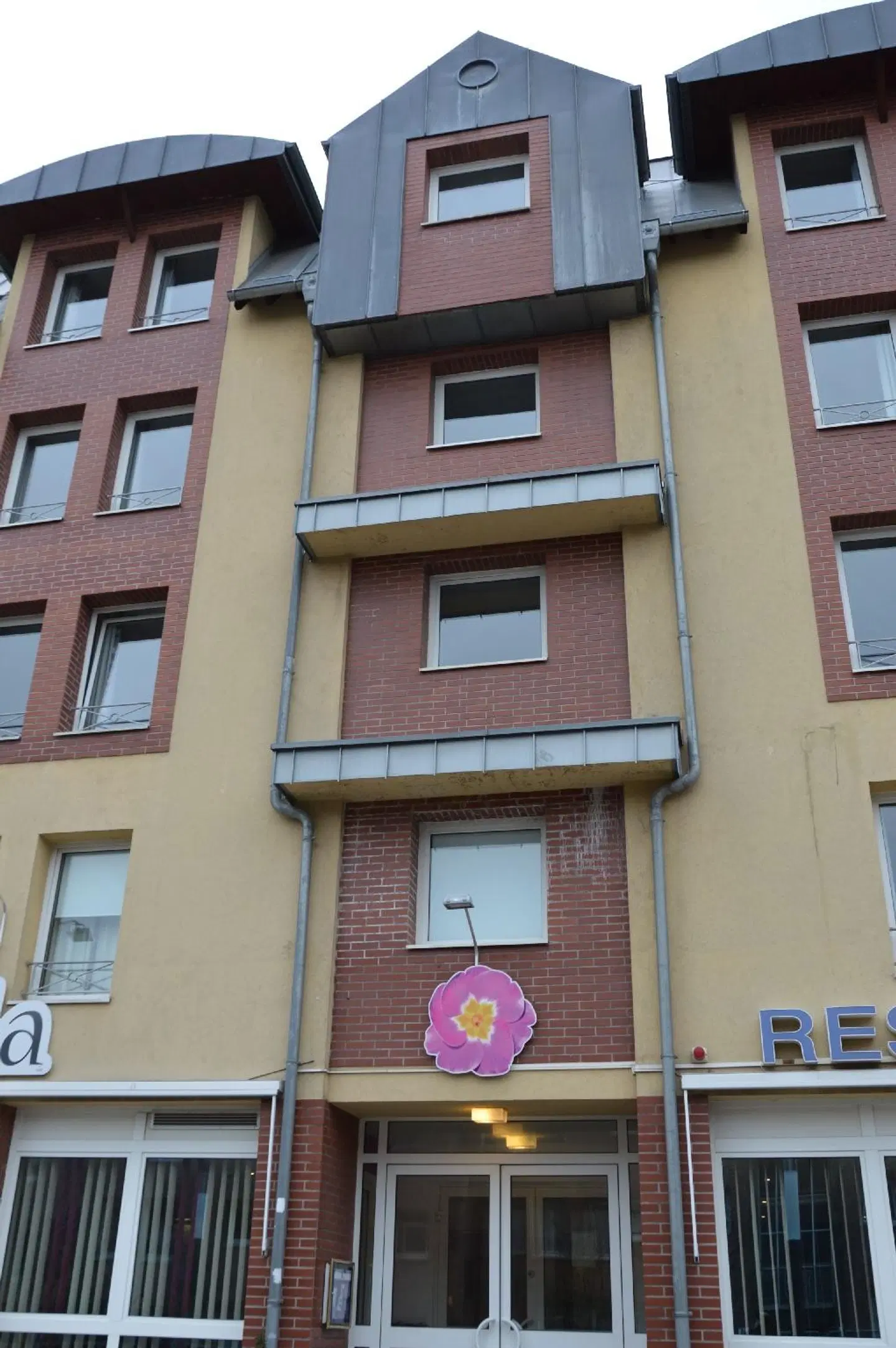 Primula EXTERIOR