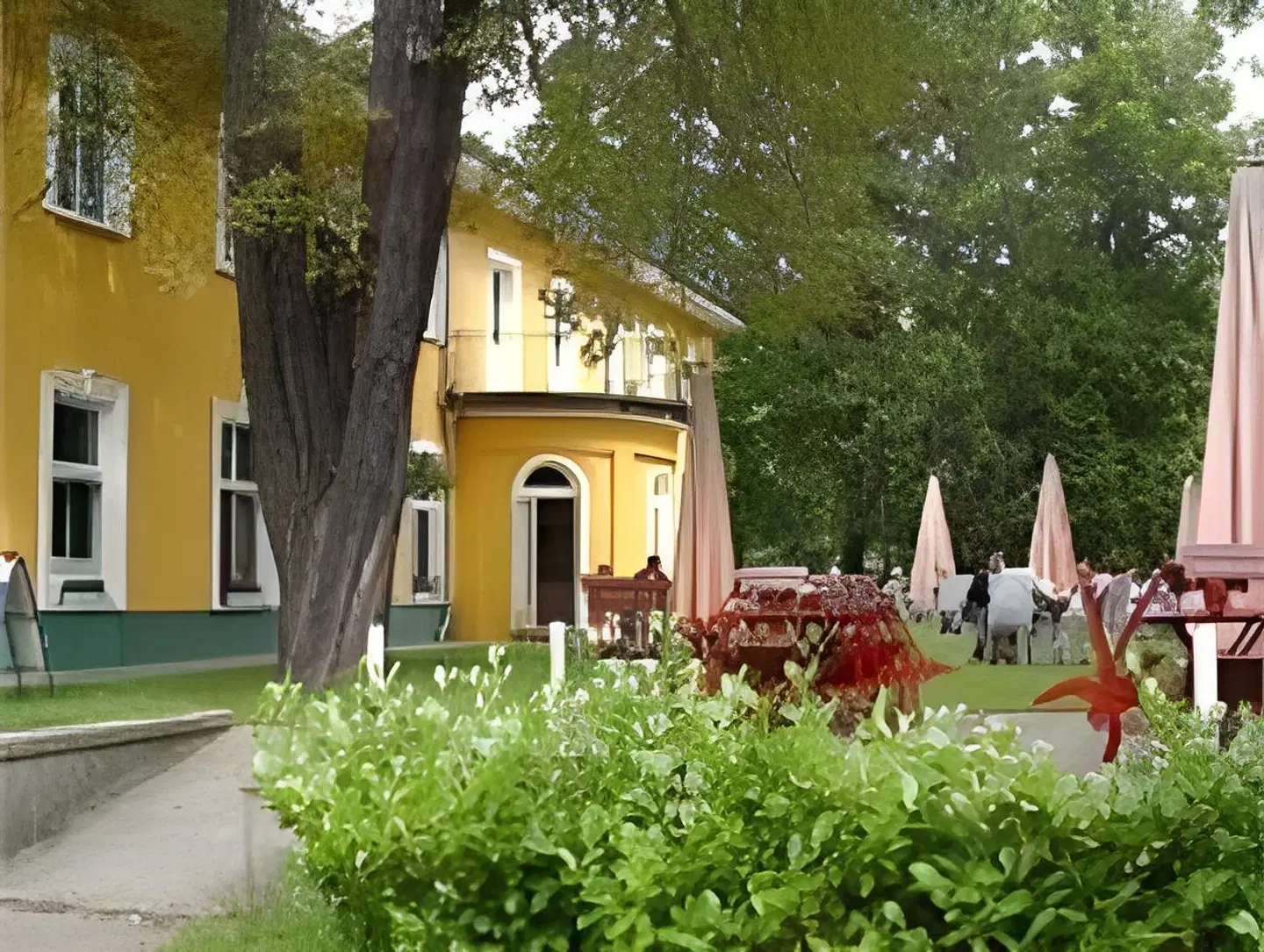 Waldsee Wirchensee Garten