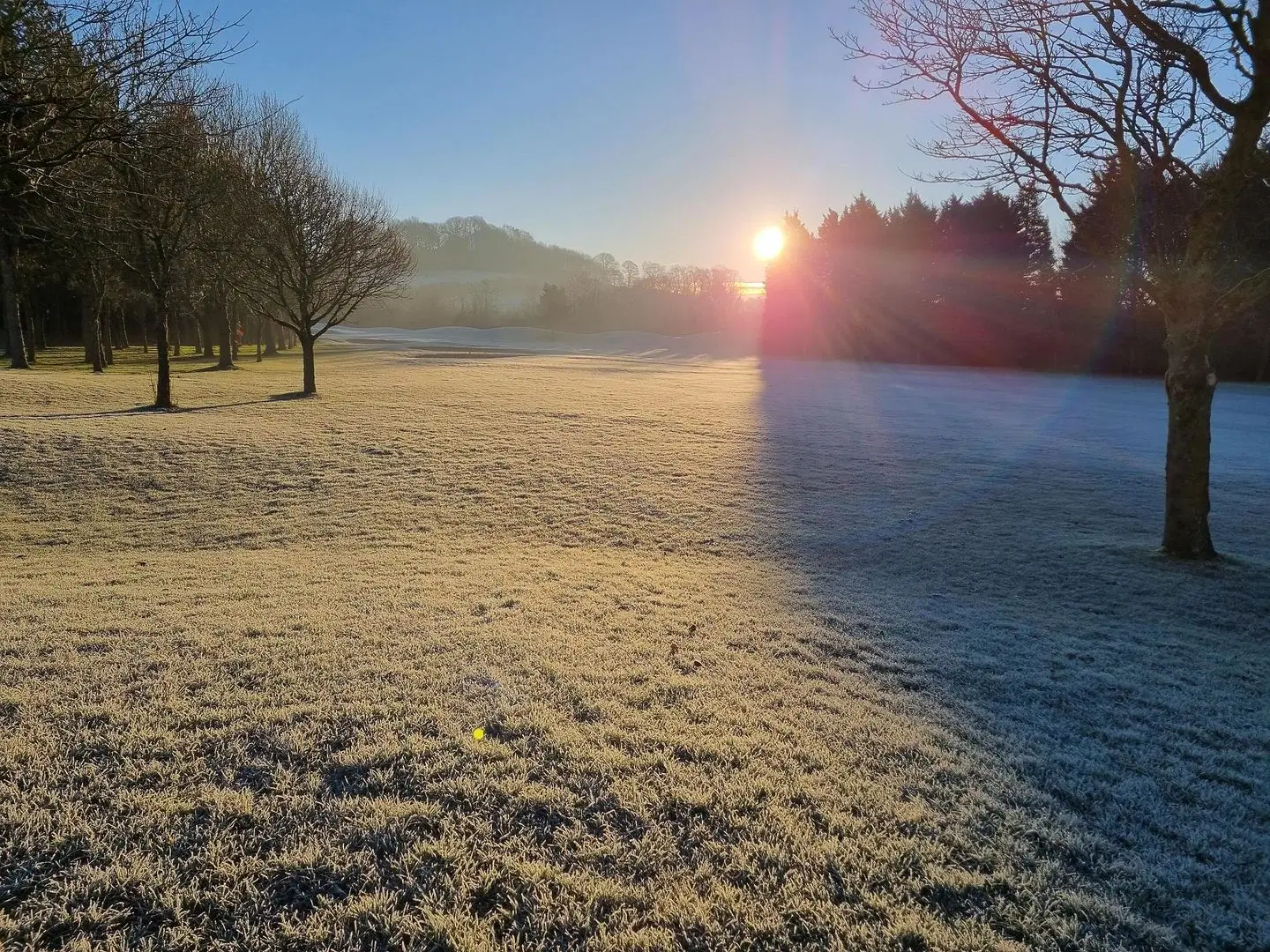 Staverton Park Hotel & Golf Club LANDSCAPE
