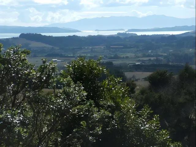 Auckland Country Cottages LANDSCAPE