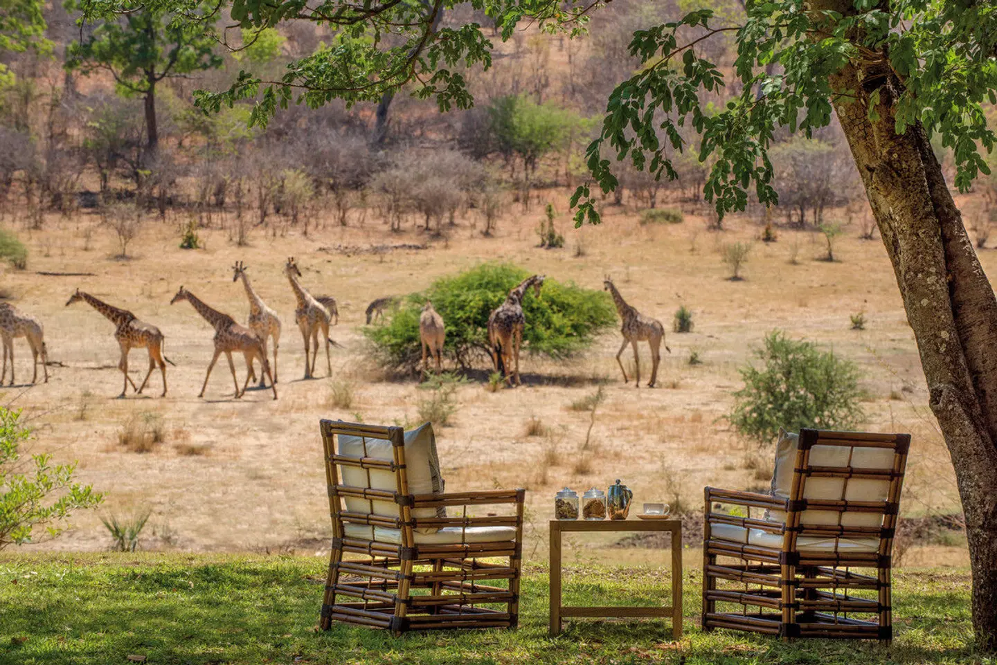 Anantara Stanley & Livingstone Victoria Falls Hotel Tiere