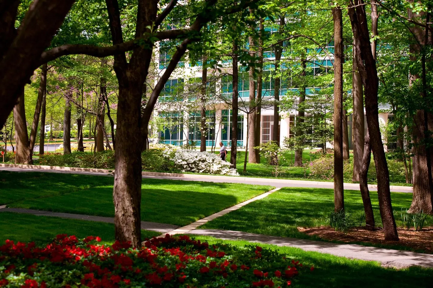 Falls Church Marriott Fairview Park Garten