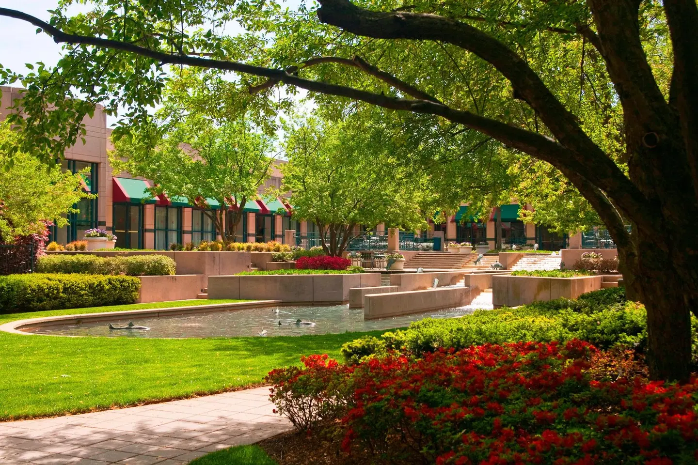 Falls Church Marriott Fairview Park Garten