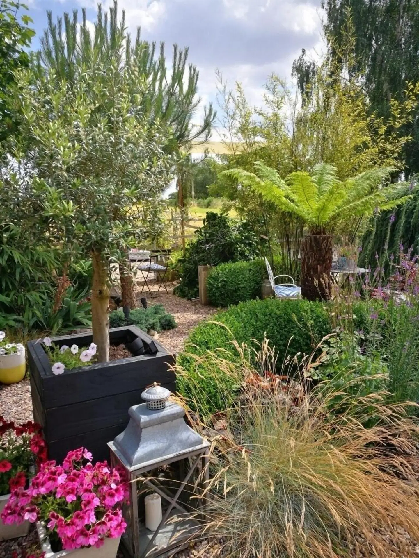 Hayeswood Lodge Boutique B&B Garten