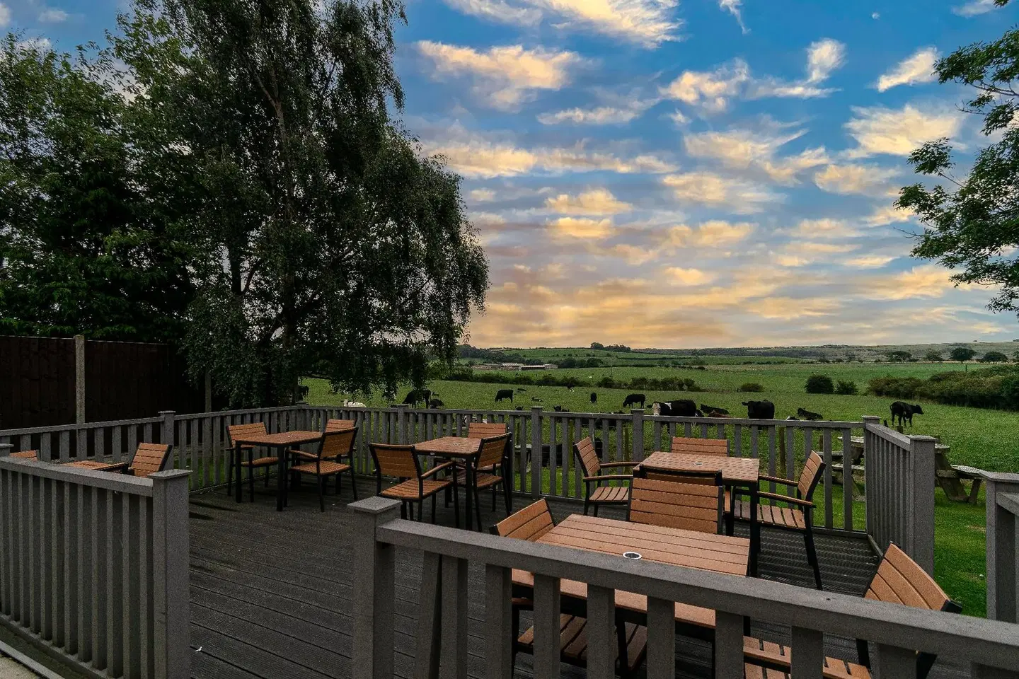 Three Horseshoes Inn Terrasse