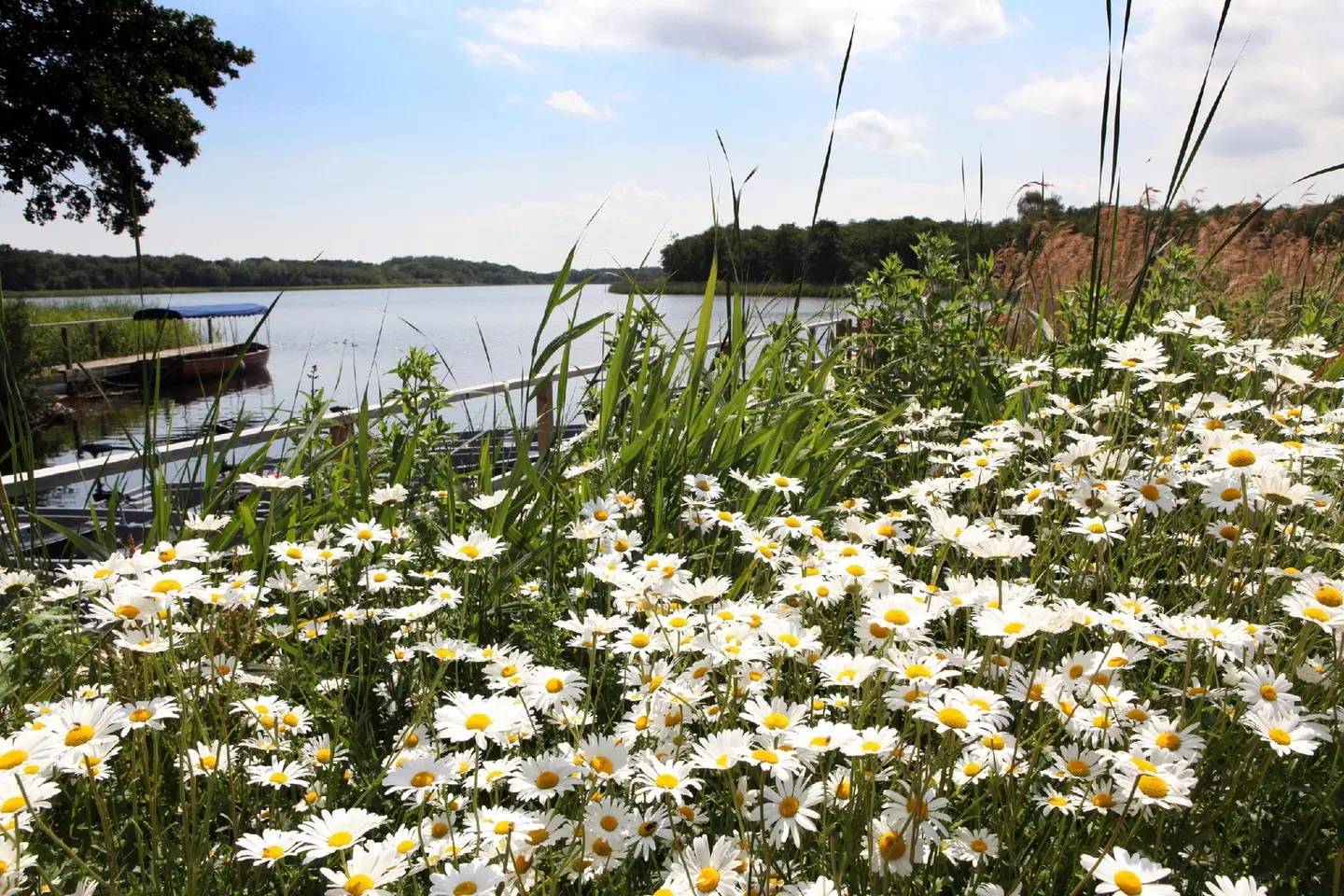 The Boathouse LANDSCAPE