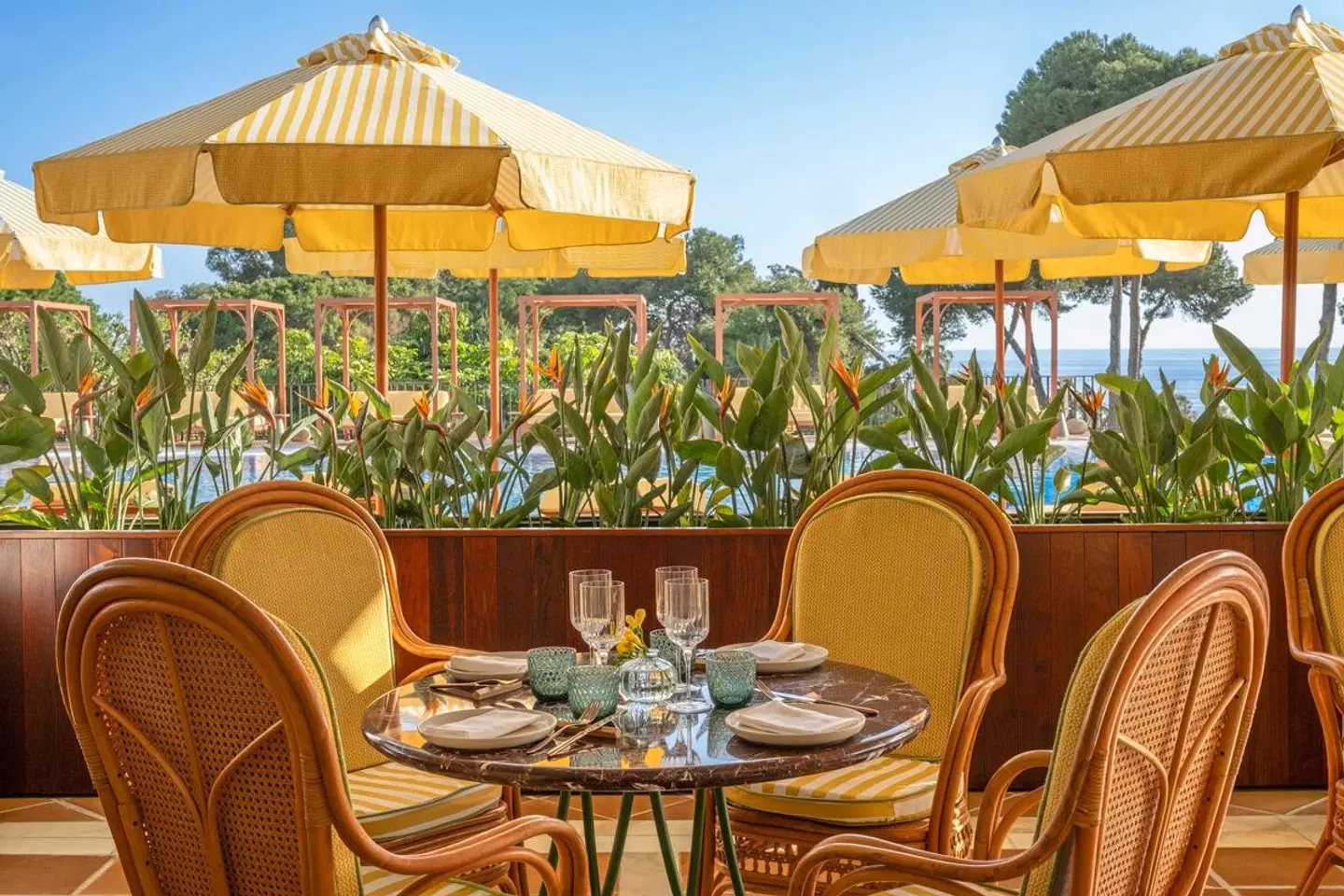 Don Carlos Marbella Restaurant