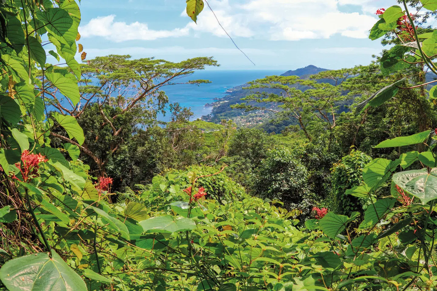 Island Hopping Seychellen (Hotels: gehobene Mittelklasse, Privat- Flug- und Bootstransfers, 8 Nächte) LANDSCAPE