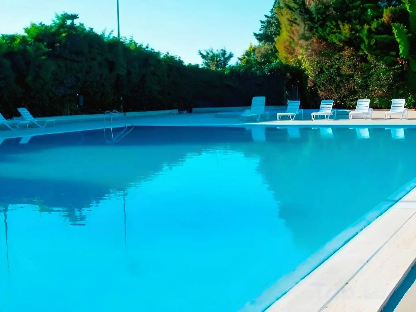 Hotel Dei Pini OUTDOOR_POOL