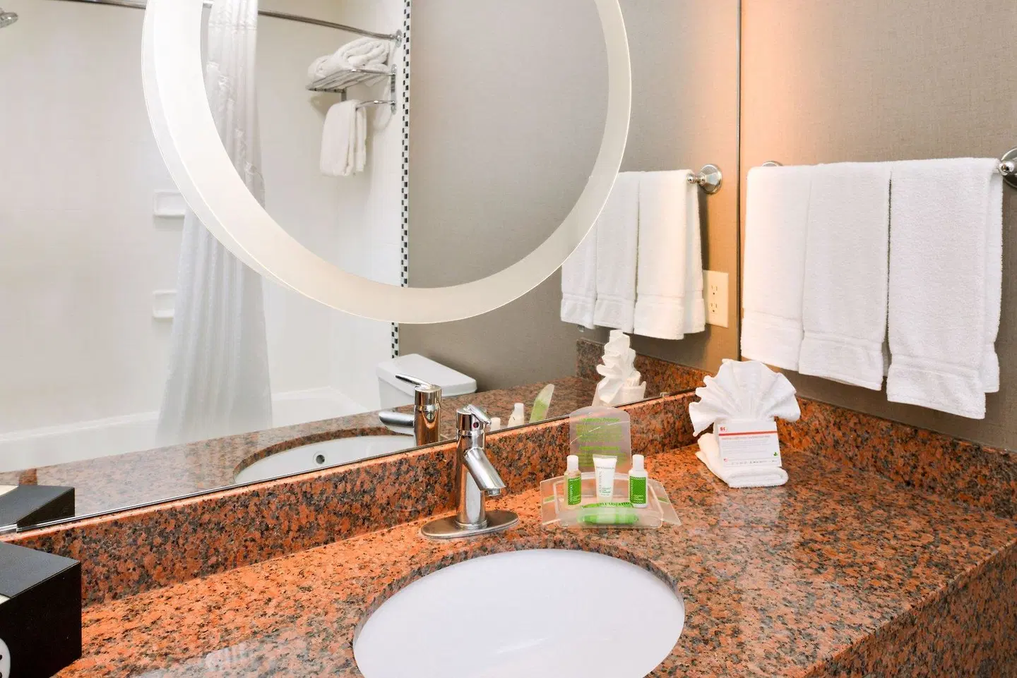 Holiday Inn Amarillo West Medical Center by IHG Badezimmer