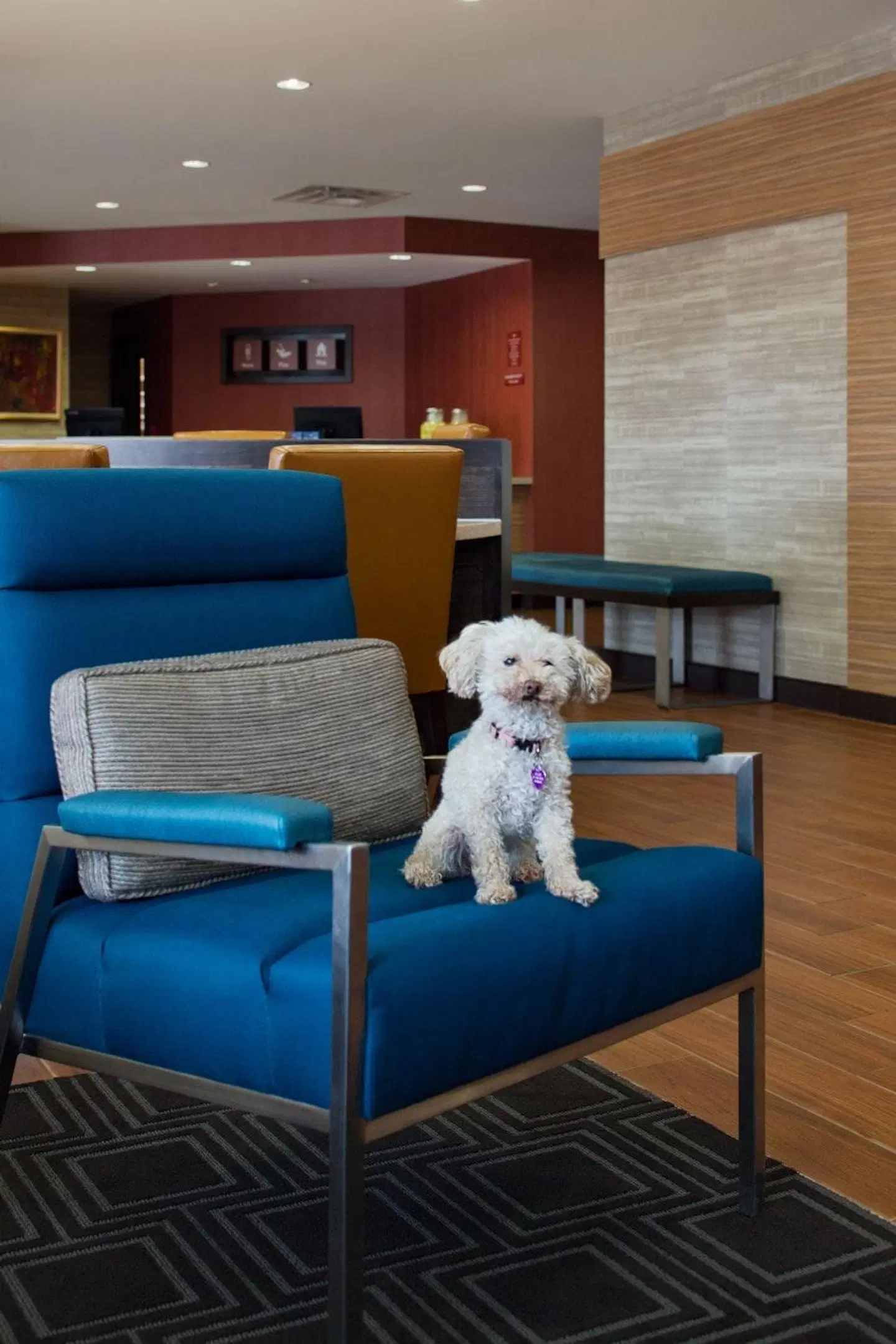 TownePlace Suites by Marriott Austin Round Rock LOUNGE_LOBBY