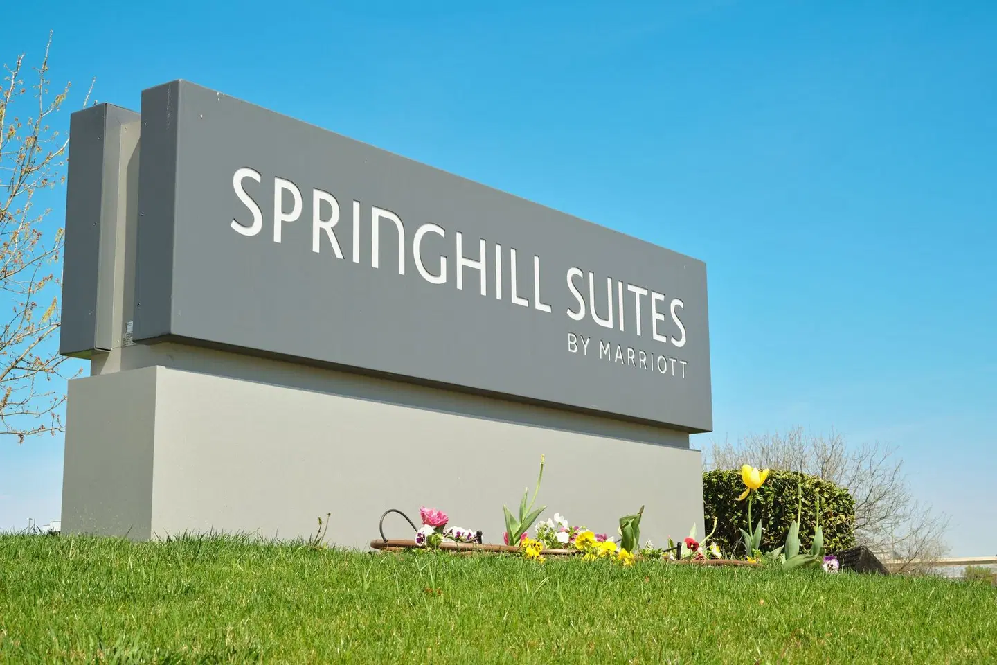 SpringHill Suites by Marriott Dallas Lewisville EXTERIOR
