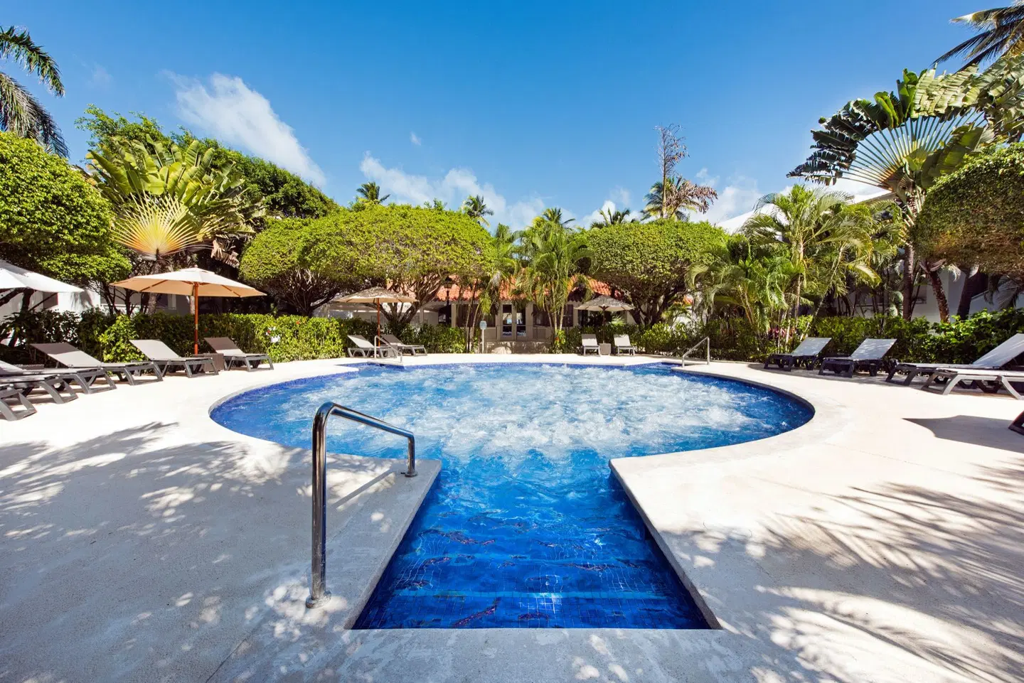 Occidental Punta Cana OUTDOOR_POOL