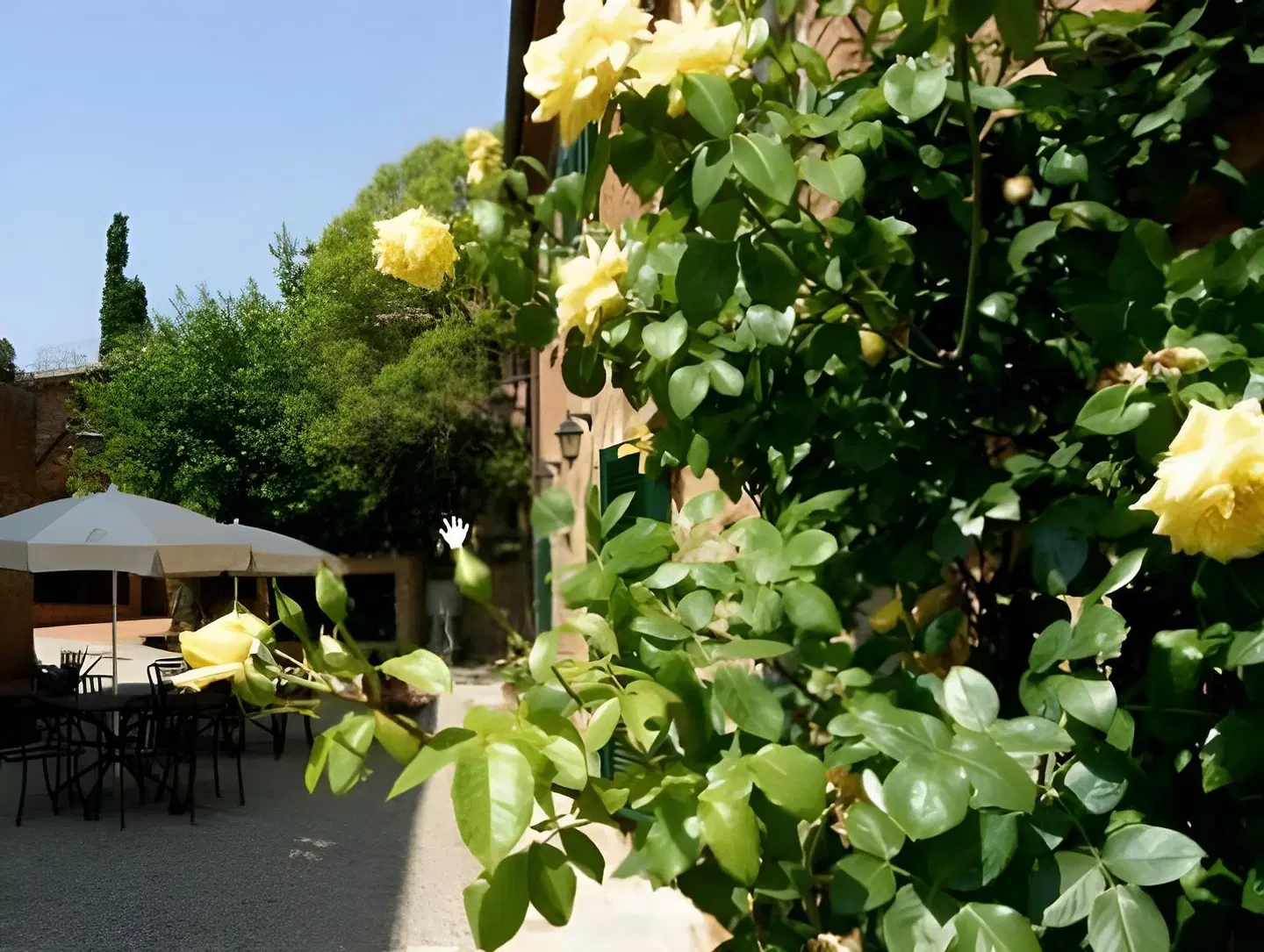 Villa Nottola Garten