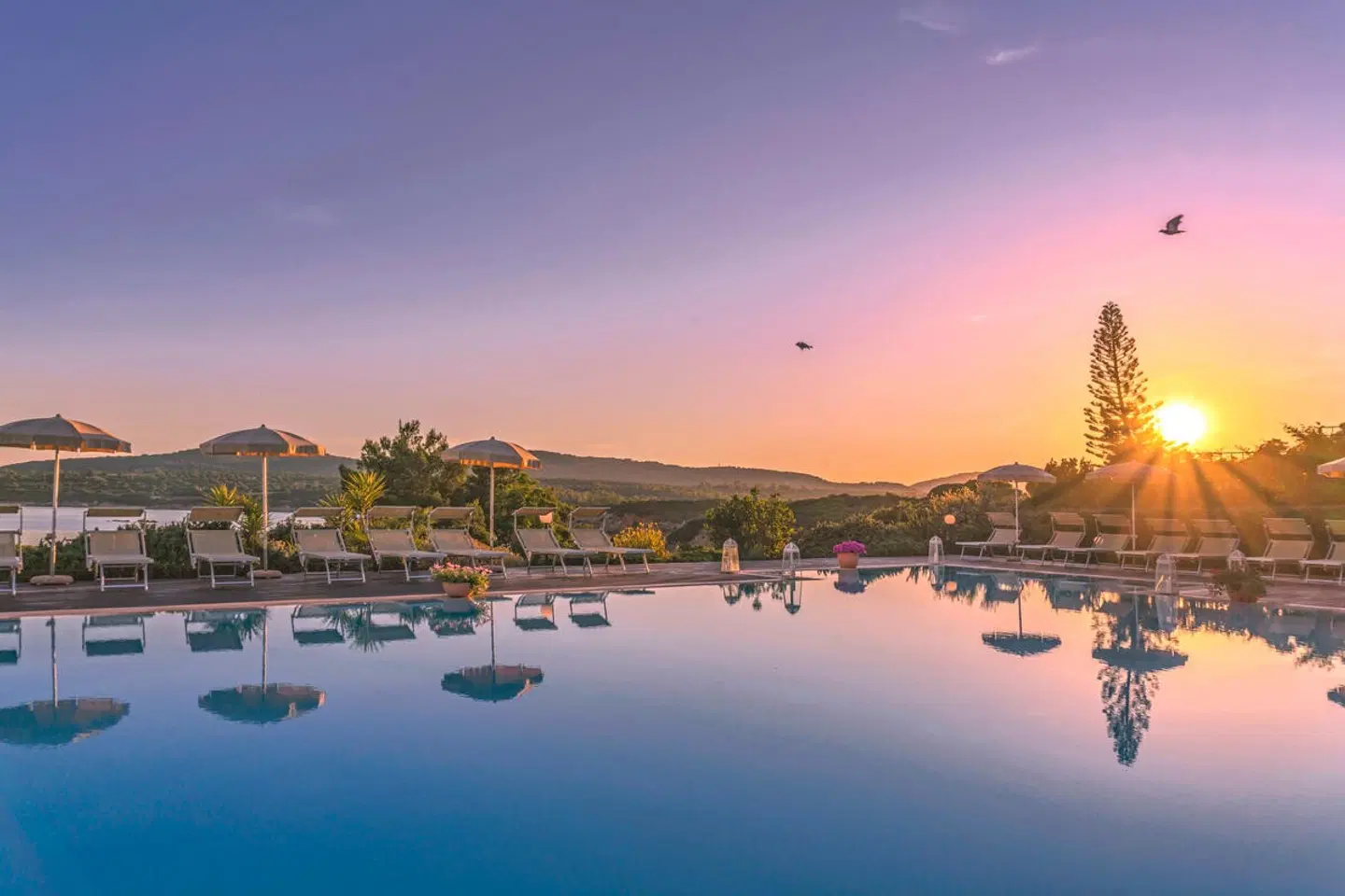 Dei Pini OUTDOOR_POOL