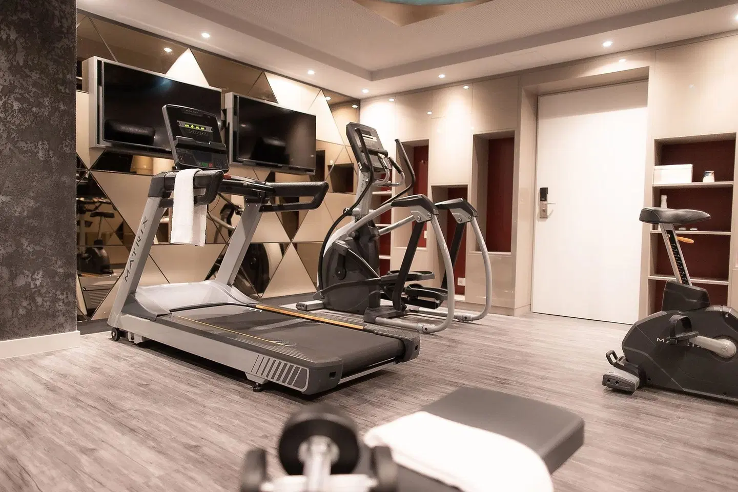 PLAZA Premium Heidelberg SPORTS_AND_LEISURE