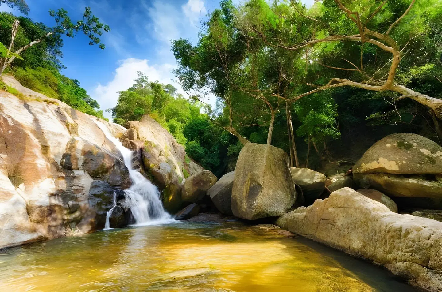 Lipa Bay Resort LANDSCAPE