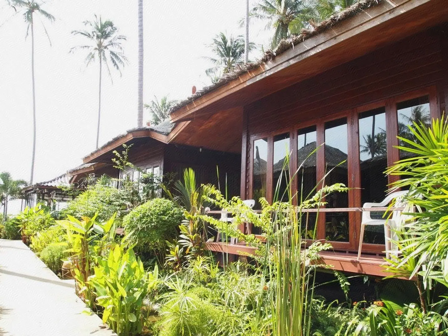 Lipa Bay Resort Tiere