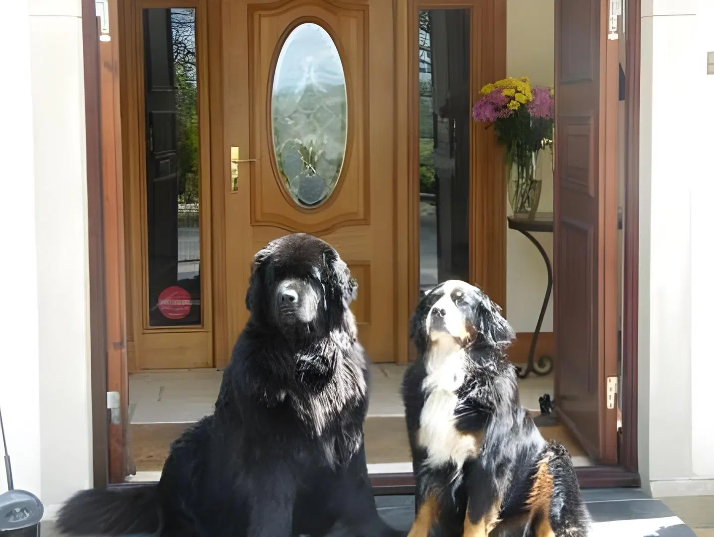Arden Country House Tiere