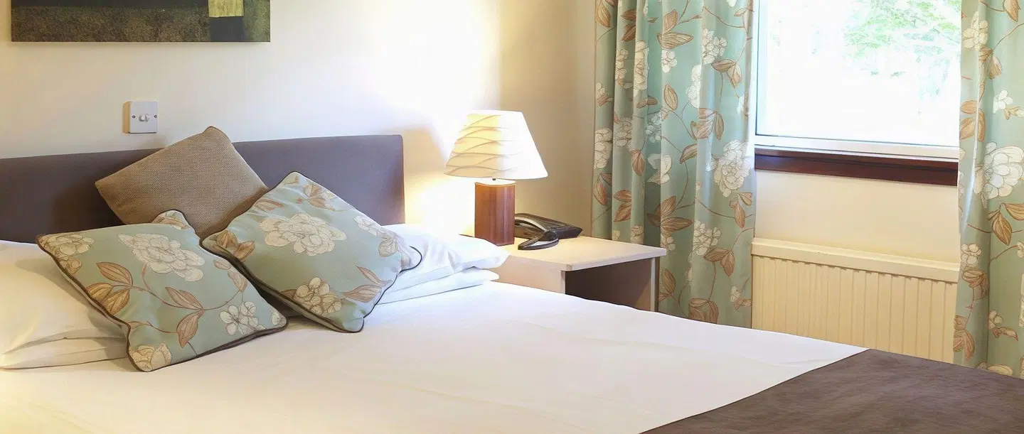 King Robert ROOM_EXAMPLE