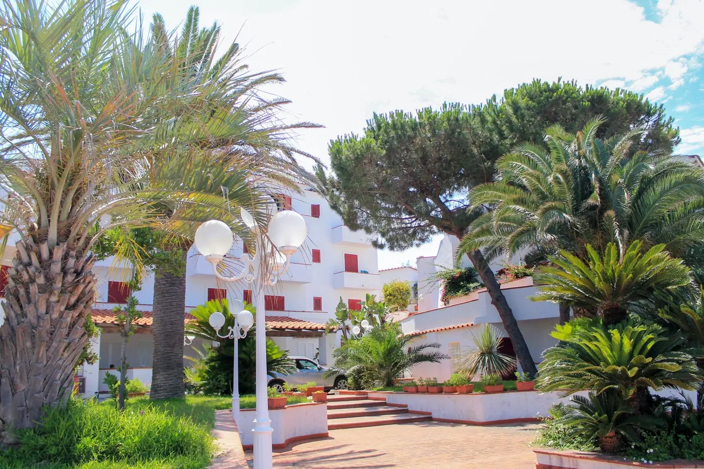 Royal Palm Garten
