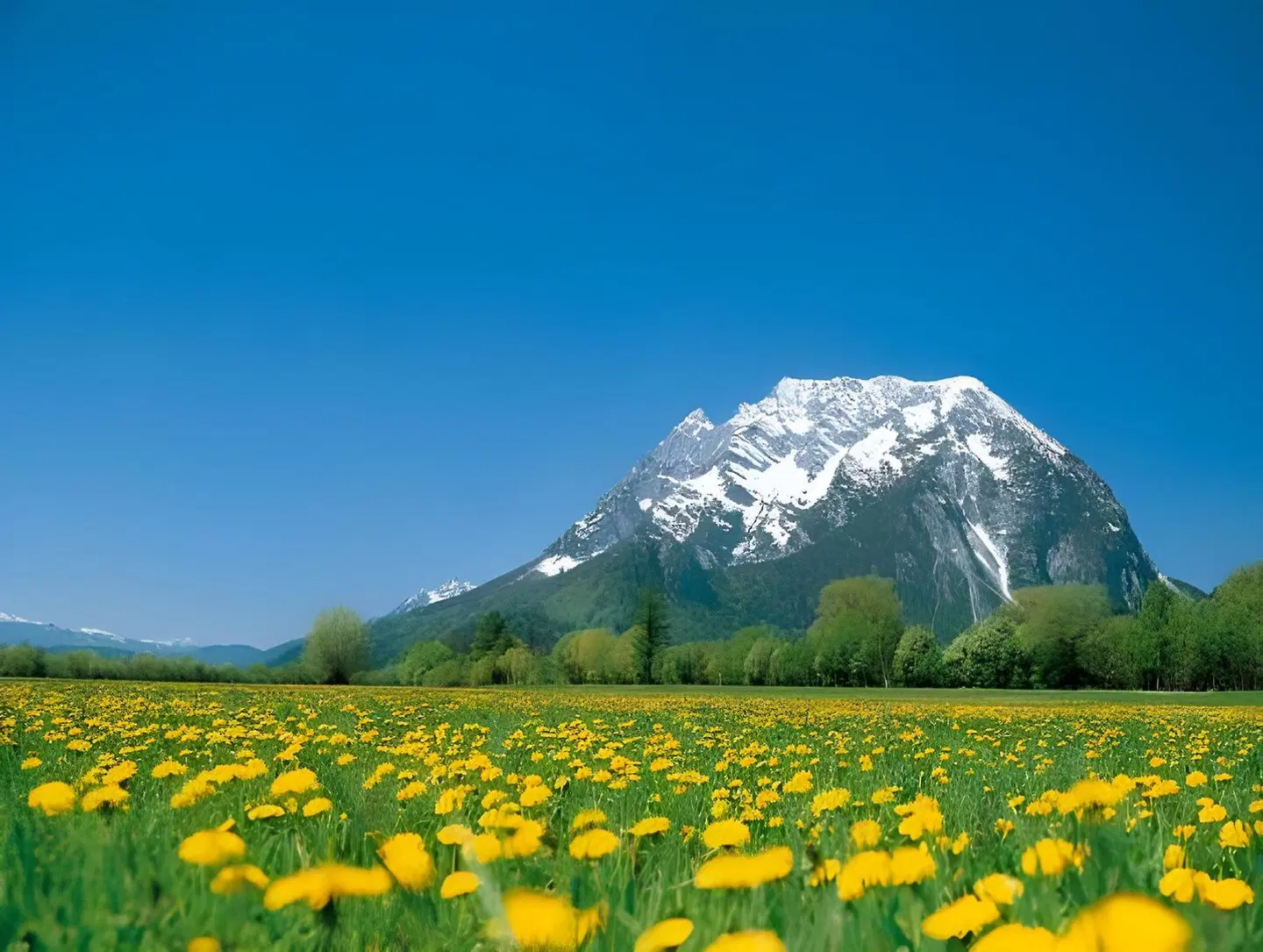 Kirchenwirt LANDSCAPE