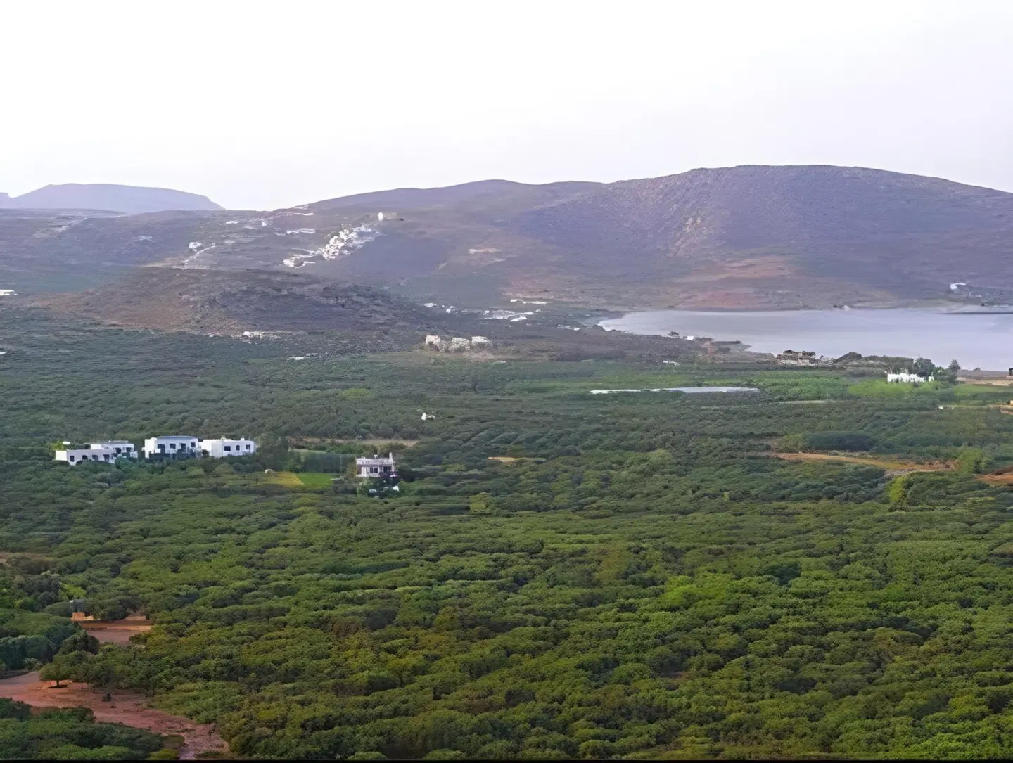 Marina Village LANDSCAPE