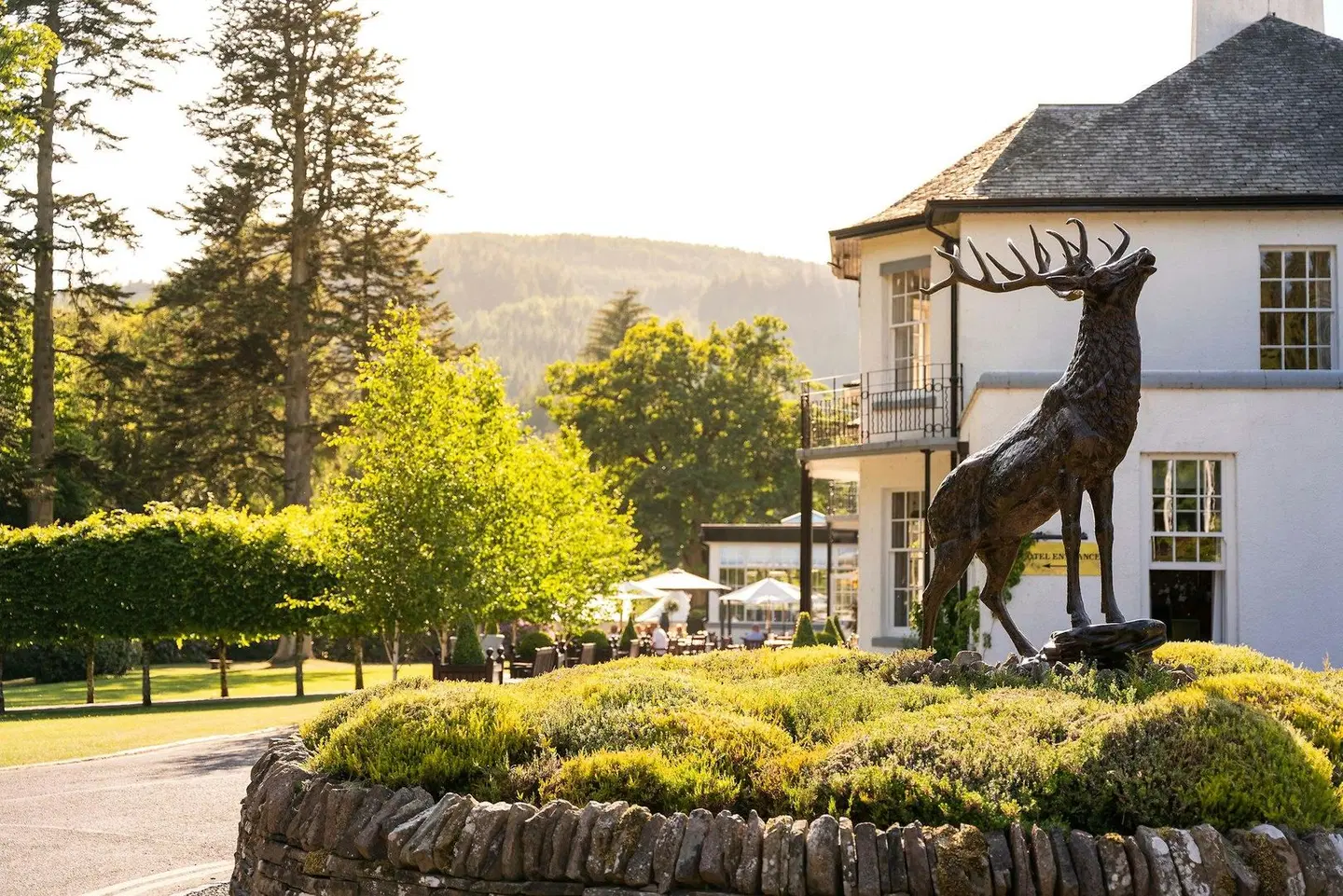Dunkeld House Hotel Tiere