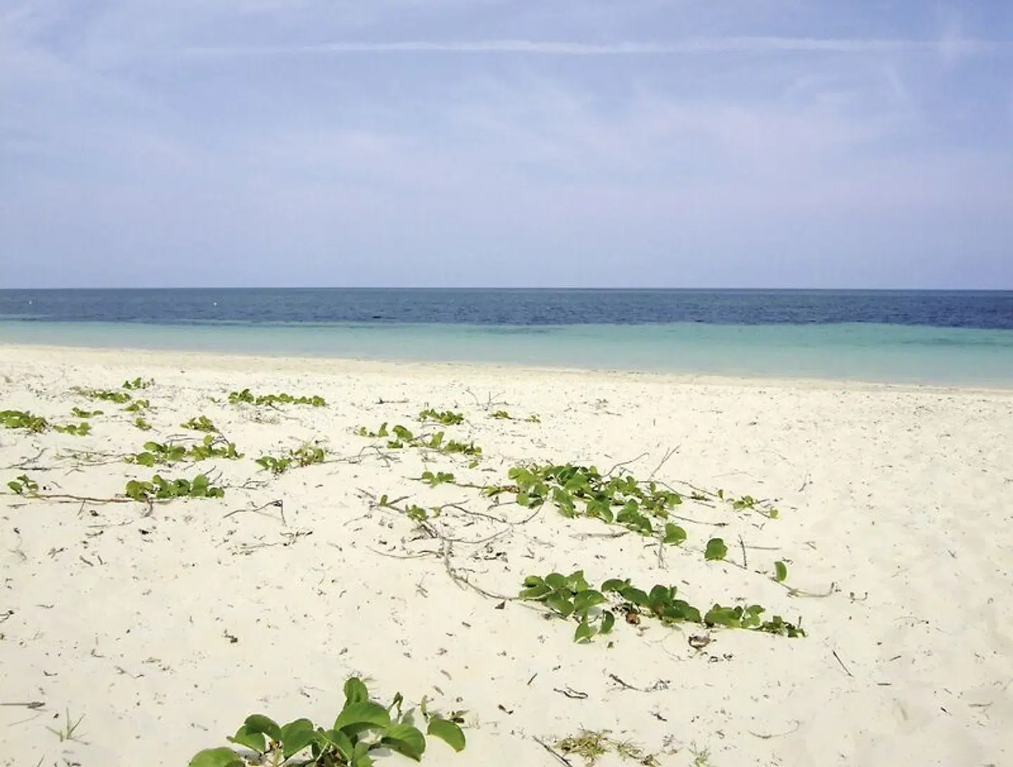 Cayo Levisa Strand