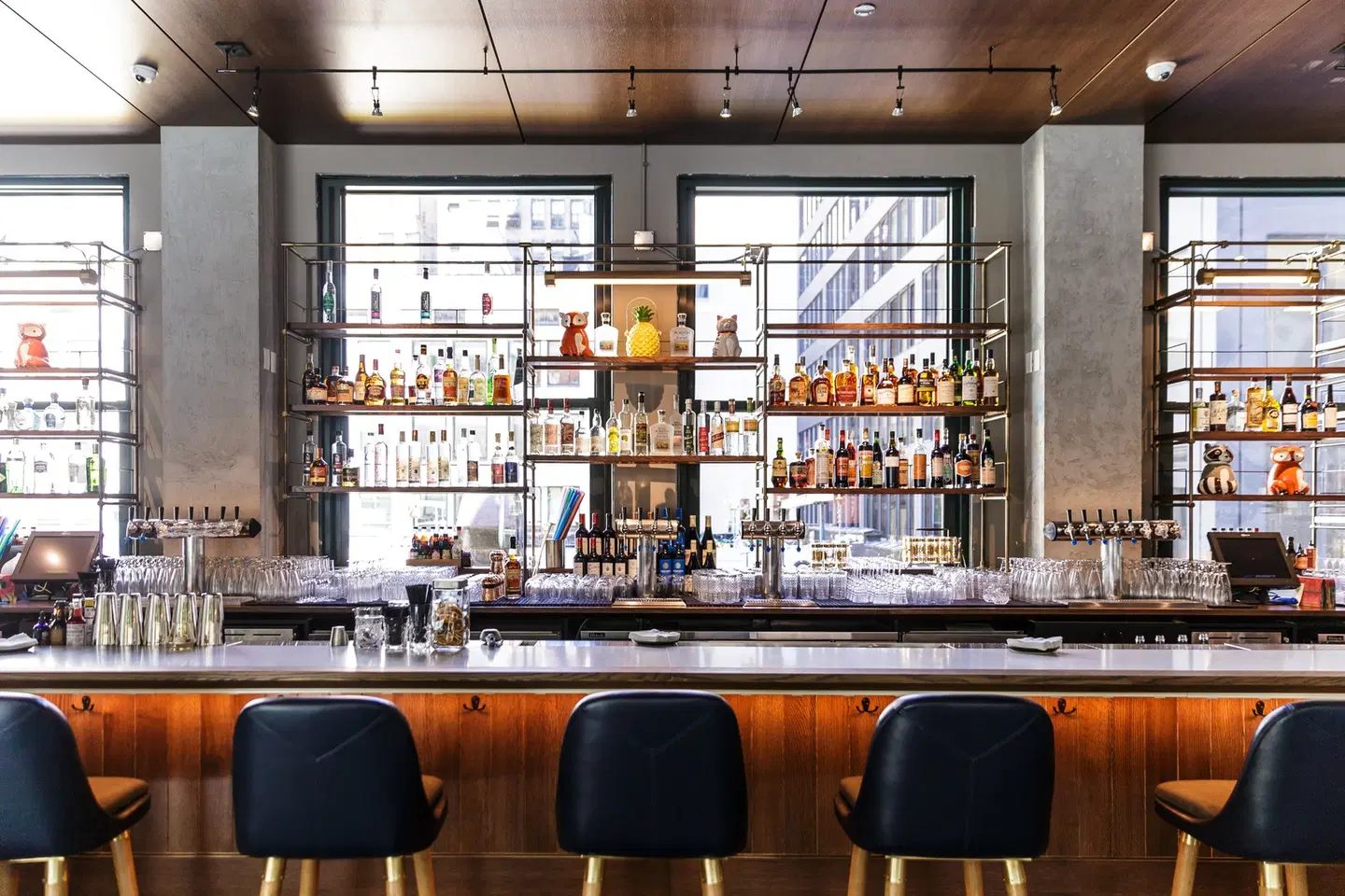 Kimpton Gray Hotel by IHG Bar