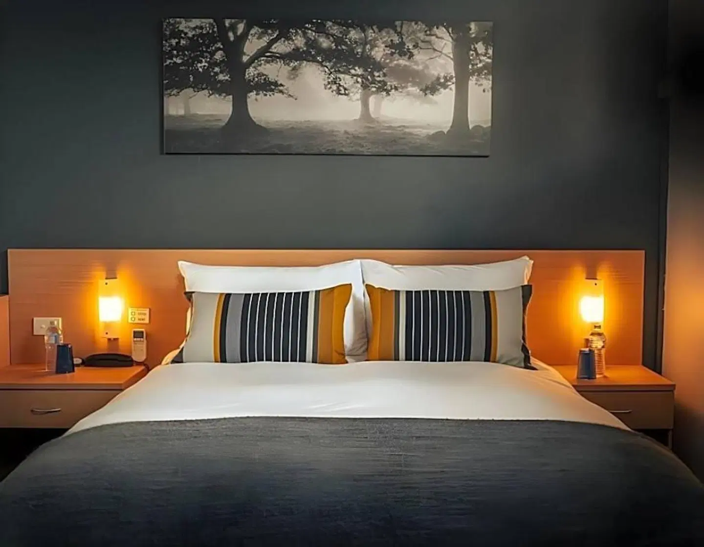 The Oriana, Orange ROOM_EXAMPLE